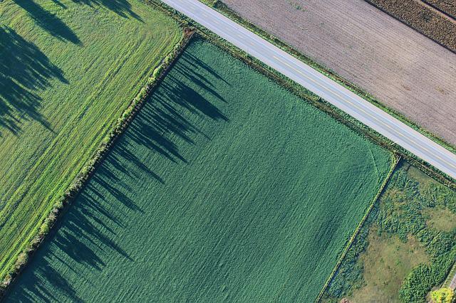 agriculture-1867212_640